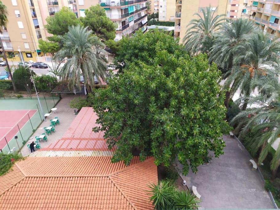 Apartment Playa